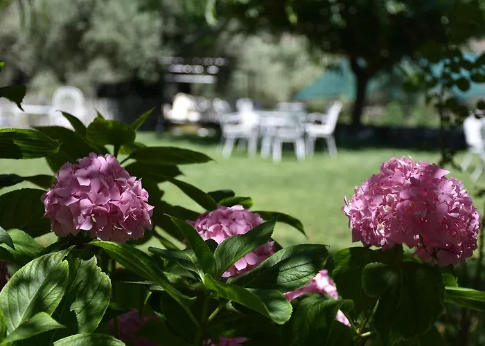 Gasthuis Studio Kostas Asprogerakata