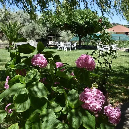 Studio Kostas
