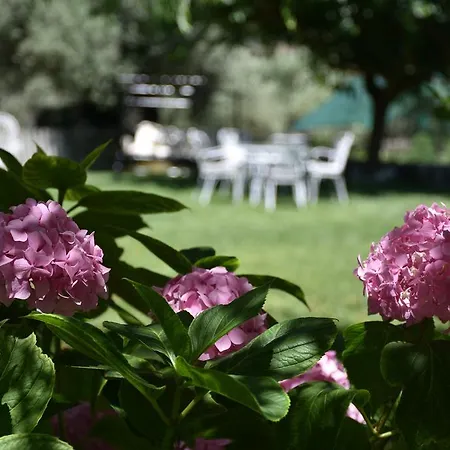 Gæstehus Studio Kostas Asprogerakata